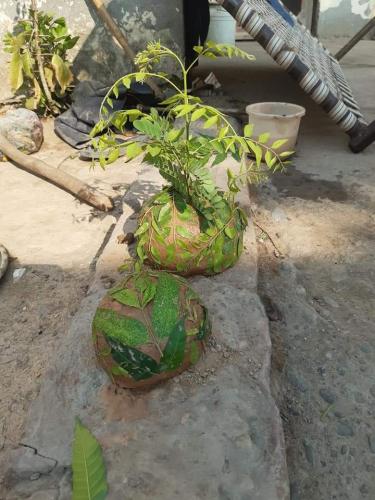 FB_IMG_1628060035754