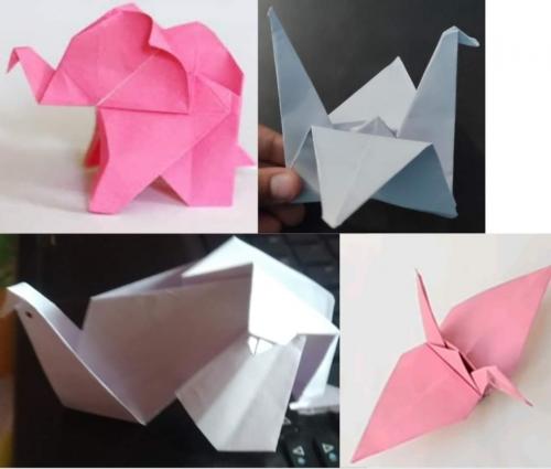 FB_IMG_1628060992018